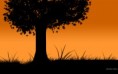 /album/wallpapers/entardecer-jpg/