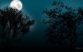 /album/wallpapers/noite-jpg/